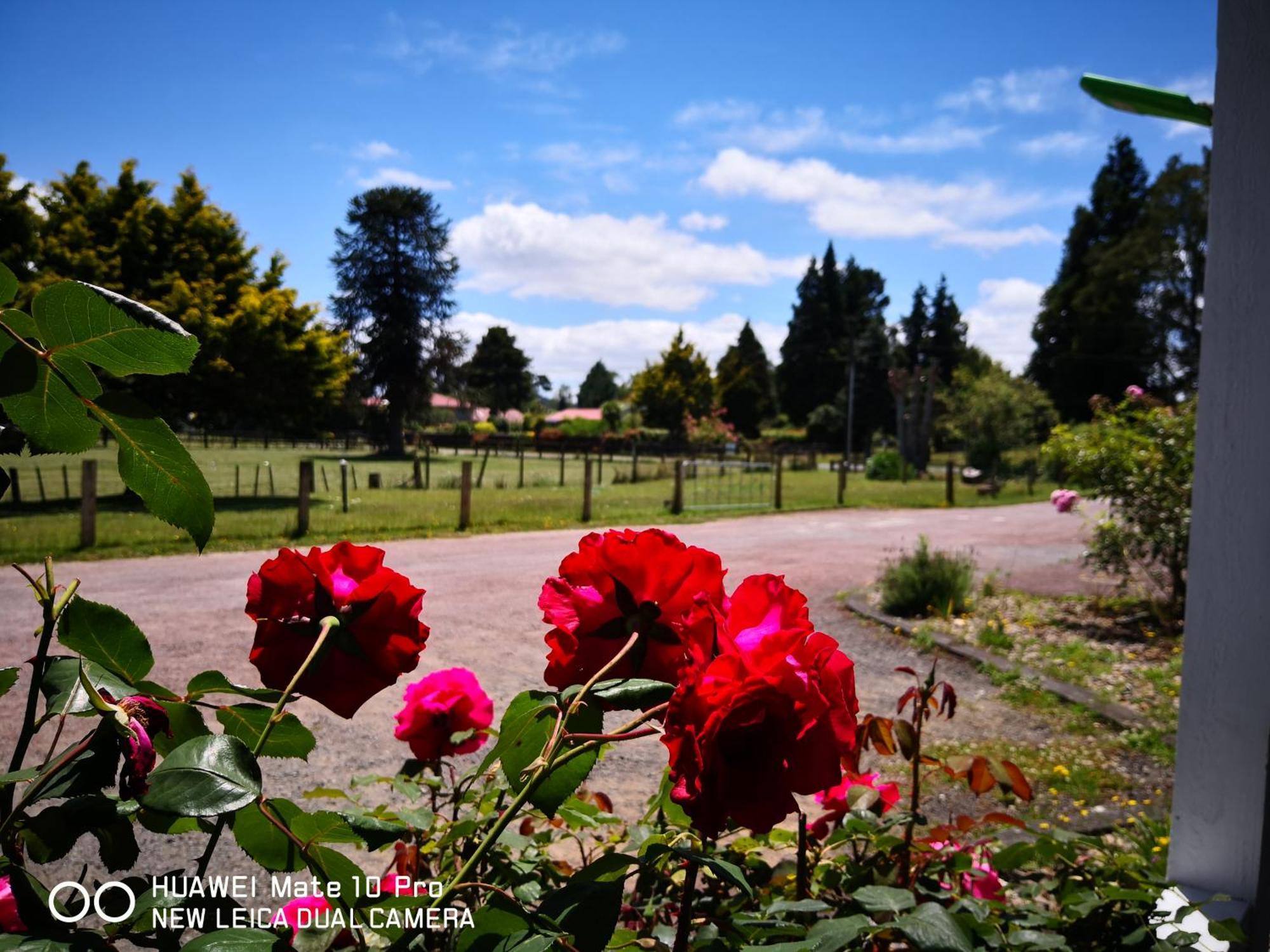 Amisfield Motel Tokoroa Ngoại thất bức ảnh
